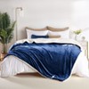 Acekool Heated Blanket, Thick Flannel Soft Blanket, 5 Heat Levels, Auto Off, Machine Washable, Quick Warmth - 4 of 4