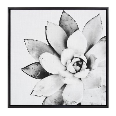 30" x 30" Sylvie Succulent Framed Canvas by Simon Te Tai Black - Kate and Laurel