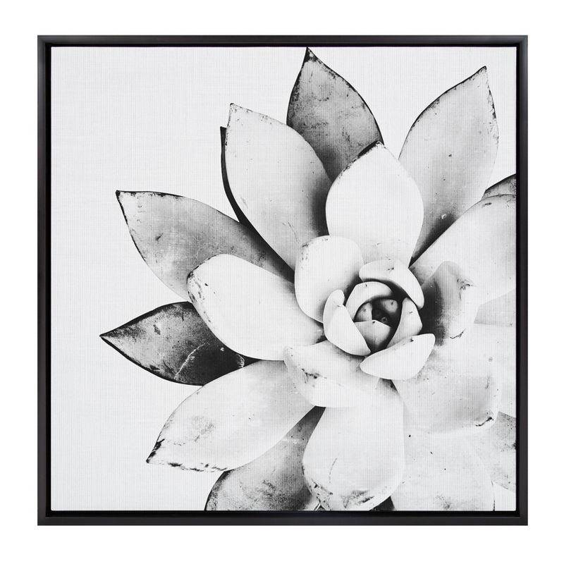 30&#34; x 30&#34; Sylvie Succulent Framed Canvas by Simon Te Tai Black - Kate and Laurel, 1 of 8