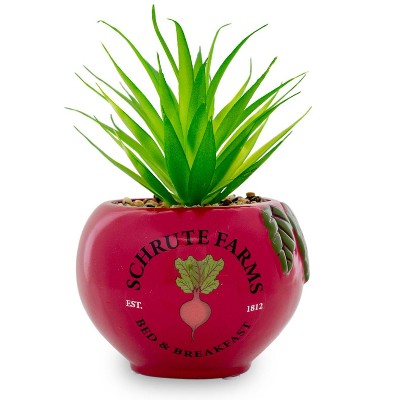 Silver Buffalo The Office Schrute Farms Rustic 8-Inch Planter With Artificial Succulent