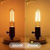 Runesay Dimmable Tubular Light Bulbs 40Watt, 4W E26 T10 LED Type T Bulbs, 2700K Warm White Long Edison Light Bulbs, 400Lumens, 4.96 inches ,2Pcs - 4 of 4