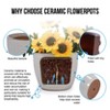 KTMBDW Ceramic Plant Pots, Planter Pot with Drainage Hole, Flower Pots for Indoor Outdoor Plants, Set of 3 - 3 of 4