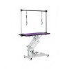 42" Heavy Duty Pet Grooming Table with Adjustable Arm and Noose,Dog Drying and Trimming Table for Large and Medium Pets–LAOTIES - 3 of 4