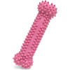 Nylabone Puppy Chew Dental Bone Chew Toy - Pink (3.75") - 4 of 4