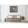 Scientific Unframed Botanicals Linen and Wood Scroll Black - Storied Home - image 4 of 4