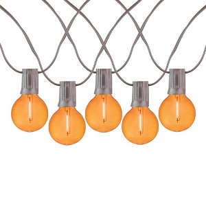Novelty Lights 25 Feet G40 LED Patio String Light Set with 25 Bulbs, Weather Resistant Shatterproof Replaceable Globe Bulbs, Brown Wire - 1 of 4