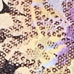 floral print