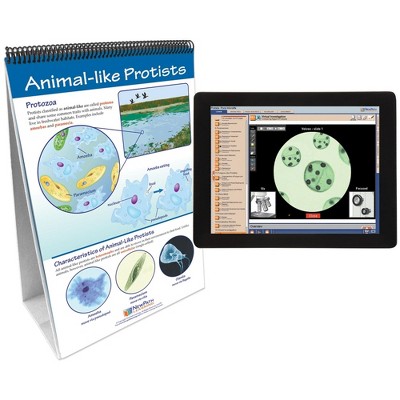 NewPath Learning Protists, Pond Microlife Flip Chart & Online Multimedia Lesson, Grades 6 through 10