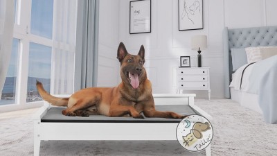 White Wooden Elevated Pet Bed with Water-resistant Mattress