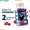 Sugar Free Melatonin 60mg - 60 Gummies - 3 of 4