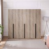 Manhattan Comfort Set of 3 Lee 2 Door Wardrobe Closets - 2 of 4