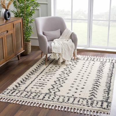 Hauteloom Hauppauge Berber Shag Carpet