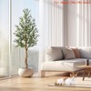 6 ft Artificial Olive Tree Indoor Tall Faux Olive Tree w/Moss Double-Handled Woven Basket Artificial Silk Plant Designed Faux Wood Trunk - 3 of 4