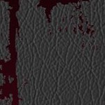 tampa bay buccaneers