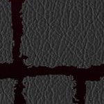 tampa bay buccaneers