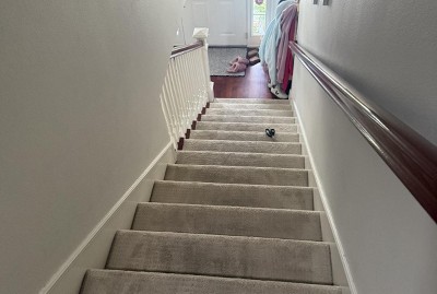 Guest review image 1 of 3, zoom in
