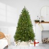Northlight 6.5' Prelit Artificial Christmas Tree Full Northern Pine - Warm Clear LED Lights - 2 of 4