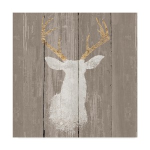 Trademark Fine Art 14"X14" Wellington Studio "Precious Antlers I" Canvas Art : Vintage Style, Animal Digital Art - 1 of 4