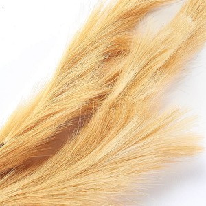 The Lakeside Collection Natural Hays and Grasses Home Accents - Natural Set of 2 Picks 2 Pieces - 1 of 4