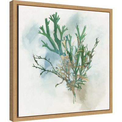 Green Coral Watercolor Canvas Print with Natural Wood Frame