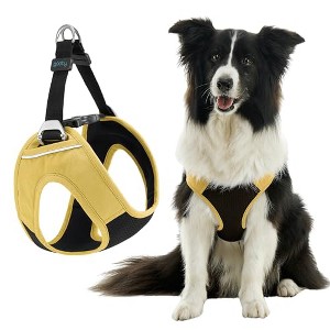 Gooby Escape Free Easy Fit Plus Harness Miami Yellow, X - 1 of 1