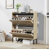 TIRAMISUBEST Modern Shoe Cabinet - Teak & Black 2-Door Flip-Up Storage, Minimalist Entryway Organizer (31"H x 9"W x 38"D) - 2 of 4