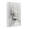 Stupell Industries Neutral Curved Seashell Black Framed Giclee Art - 3 of 4