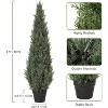 Coucheta Artificial Topiary Trees - Faux Cedar & Cypress in 3-5FT Sizes with UV-Resistant & Pot Options for Indoor/Outdoor Home & Garden Decor - 4 of 4