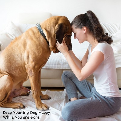 Stainless Steel Elevated Hanging Pet Bowls Set of 2