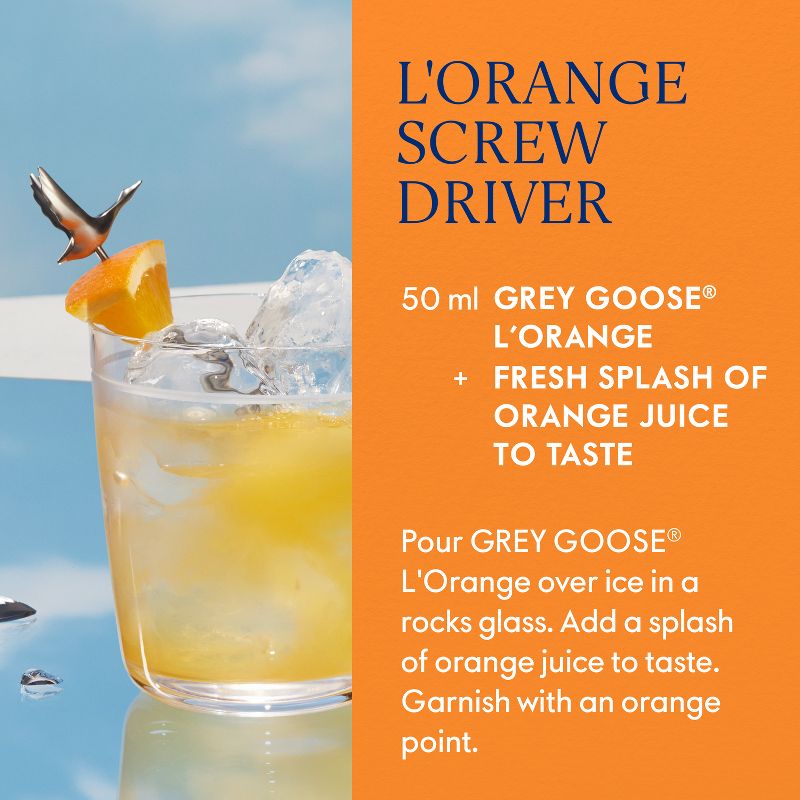 Grey Goose Orange Vodka - 750ml Bottle, 5 of 8