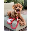 PoisePup - Luxury Pet Dog Leash - Soft Premium Italian Leather and 100% Natural Cotton Rope Leash - Hot Marine - 3 of 3