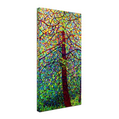 Trademark Fine Art -Mandy Budan 'Kaleidoscope' Canvas Art
