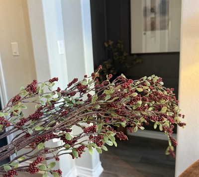 Guest review image 1 of 1, zoom in