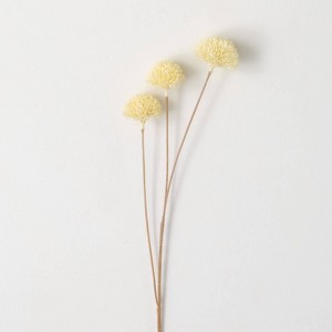 Sullivans Artificial Dried Allium Bud Stem 24.5"H Off-White - 1 of 2