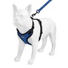Voyager Step-In Lock Adjustable Dog & Cat Harness and 5ft Leash Combo - 3 of 4