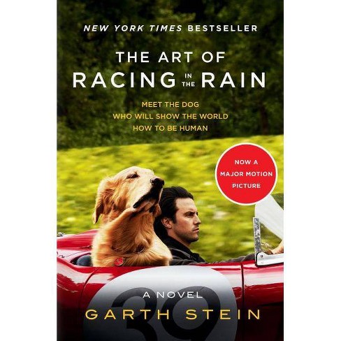 the art of racing in the rain book genre