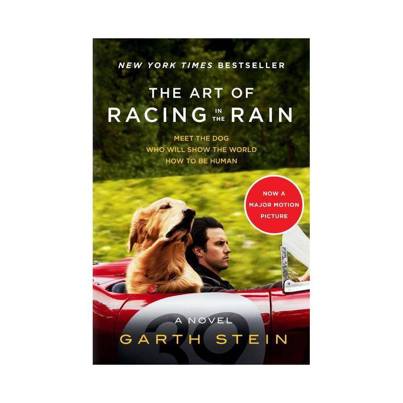 Art of Racing in the Rain -  MTI by Garth Stein (Paperback), 1 of 2