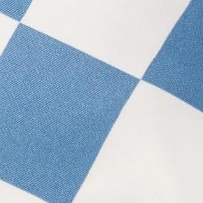 blue checkers