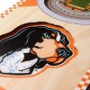 NCAA Tennessee Volunteers 6"x19" Stadium Banner - 4 of 4