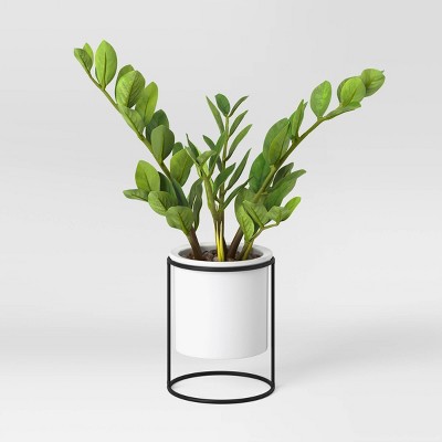 Medium Artificial ZZ Plant in White Ceramic Pot Green - Project 62™