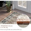 Acekool Vintage Area Rug, Washable Soft Low Pile Non Slip Carpet for Bedroom Living Room, Easy Care Retro Indoor Decor - 4 of 4