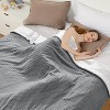 Electric Heated Blanket Throw, Ultra Soft Cozy Flannel Heating Blanket with 5 Fast Heat Levels - 2 of 4