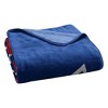 NHL NY Rangers 50 x 60 Raschel Throw Blanket - 3 of 3