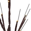 Northlight 24" Lighted Brown Twig Artificial Christmas Tree - Warm White LED Lights - 4 of 4
