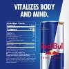 Red Bull Energy Drink - 4pk/8.4 fl oz Cans - 3 of 4