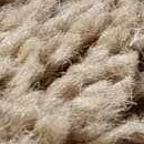 taupe, prairie dust, brown