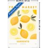 Trends International Reinders: Fruit Market - Sorrento Lemons Unframed Wall Poster Prints - 3 of 4