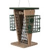 JCs Wildlife Whole Peanut and Suet Feeder - Woodpecker, Chickadee Feeder - 2 of 4