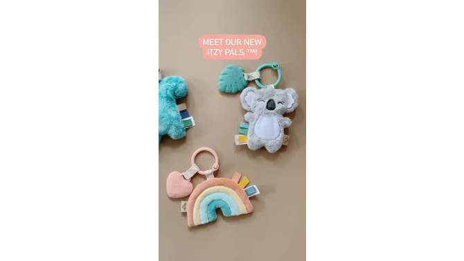 Itzy Ritzy Pal Teether, 6 of 7, play video