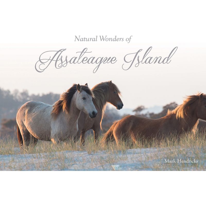 Natural Wonders of Assateague Island - by  Mark Hendricks (Hardcover), 1 of 2